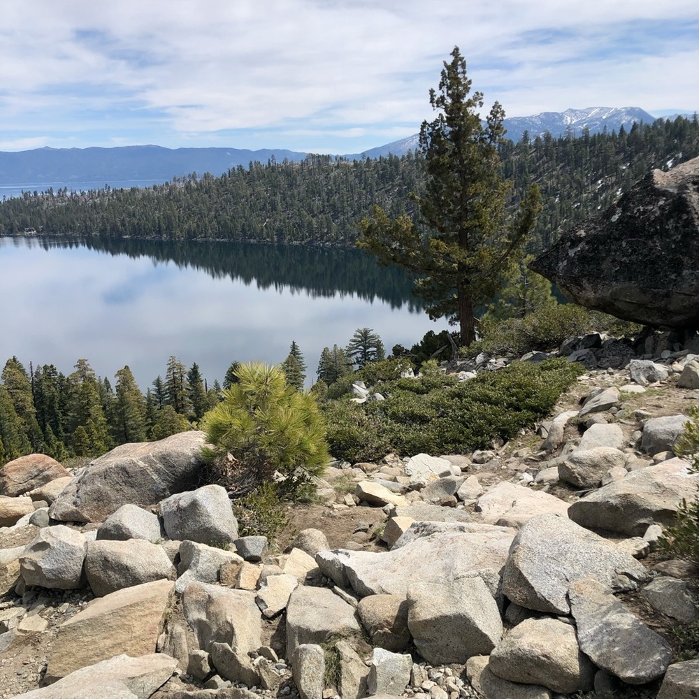 Meet your Posher, Kristen